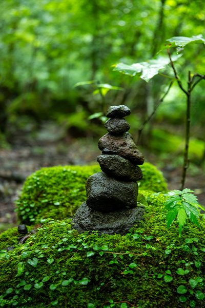 Sandra Bachmanns Angebot Kraft & Balance Yoga für Frauen